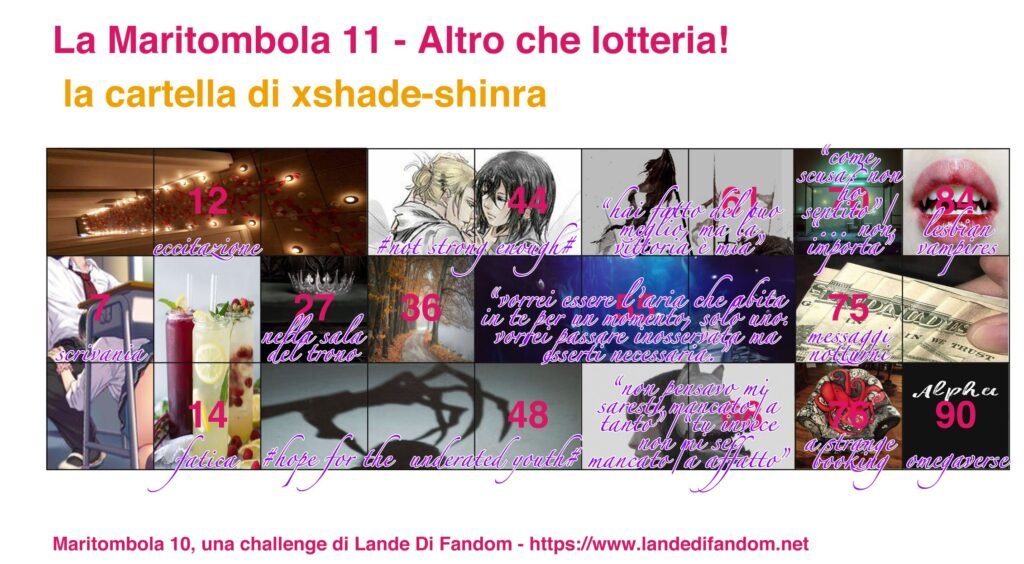 xshade-shinra maritombola.jpg
