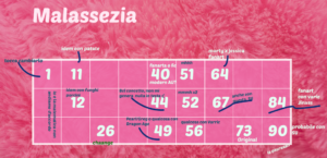 mia-cartella-2024-PROVA
