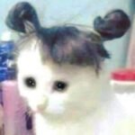 Foto del profilo di PuppyDestr0yer