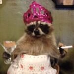 Foto del profilo di LaviEle