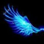 Foto del profilo di _Fernweh_